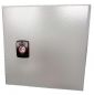 Preview: Wall Mounting Enclosure RAL7035 IP66 single door 300x300x210 mm